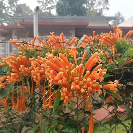 Coorg Kolamotte Gonikoppal Exterior foto