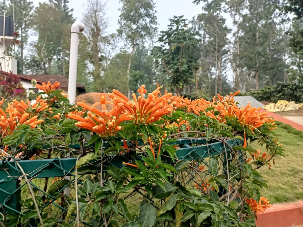 Coorg Kolamotte Gonikoppal Exterior foto